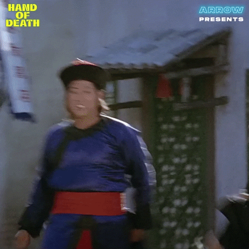 Try Again Martial Arts GIF by Arrow Video