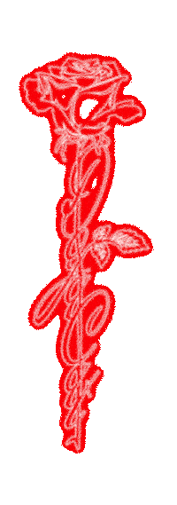 Animated Sticker
