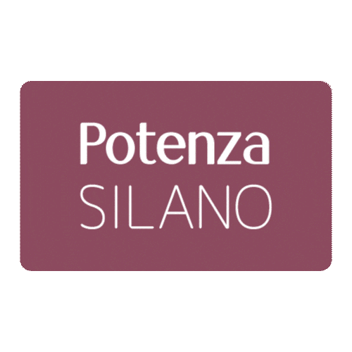 Phs Potenza Sticker by PHSGroup