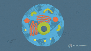 Animation Dna GIF by The Explainer Studio