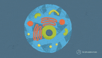 Cell-animation GIFs - Get the best GIF on GIPHY Cell-animation GIFs - Get the best GIF on GIPHY