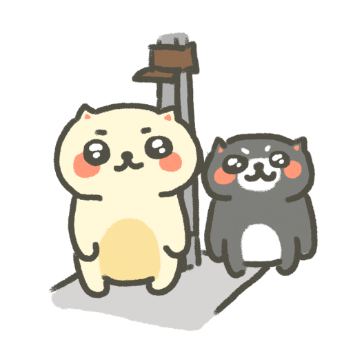 Body Size Cute Cat GIF