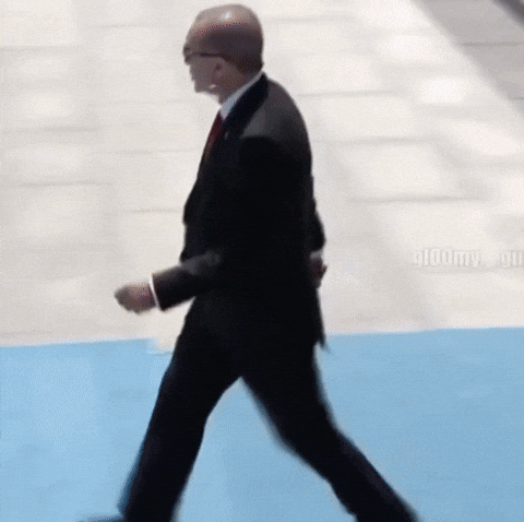 Recep Tayyip Erdogan Reis GIF