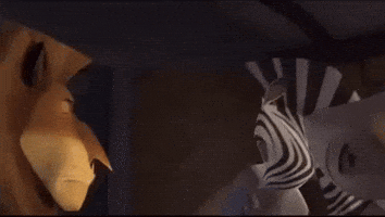 Stare What GIF