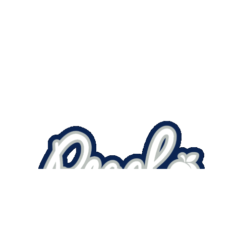 PremierSpiritAthletics Sticker