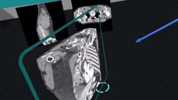 Pointer GIF