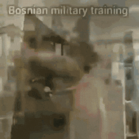 Balkan Bosnia GIF