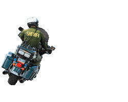 Sticker by WashoeSheriff