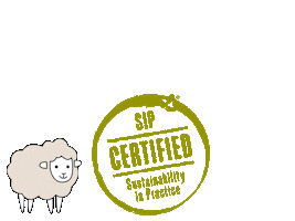 Earth Sheep Sticker by SIP Certified