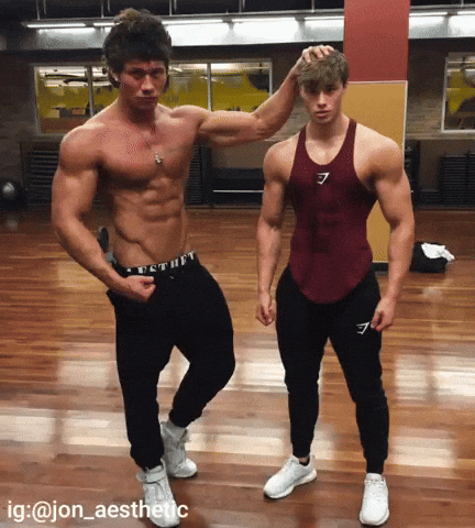David Laid GIF