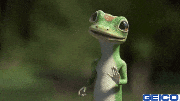 200.gif?cid=fc005b08bb6fff1dd7670d9a6c47278d9d0809df63dd9b21&rid=200.gif&ct=g