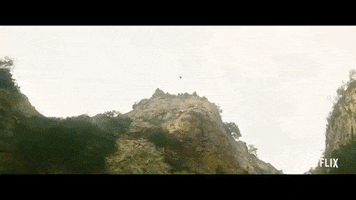 Netflix GIF