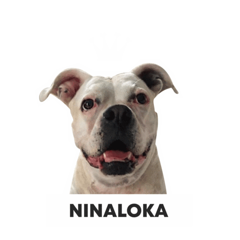 Csclkcrew Sticker by Cuscoloko