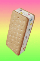 Ice Cream Sandwich GIF by Shaking Food GIFs