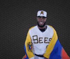 Luis Rengifo Baseball GIF by Salt Lake Bees