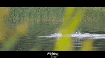 Northern Ontario Swimming GIF by Raven Banner Entertainment