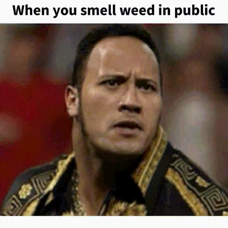 When-you-smell-weed-in-public GIFs - Get the best GIF on GIPHY