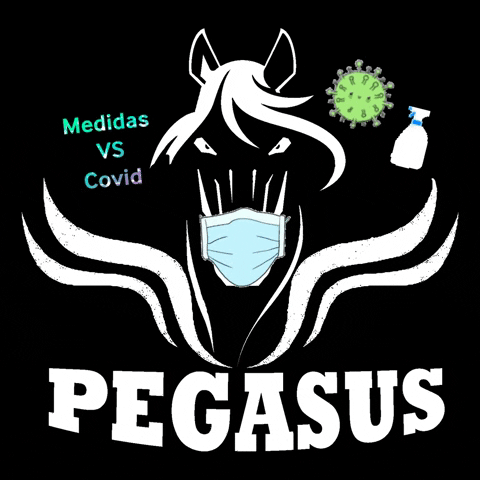 Pegasus Soluciones GIF