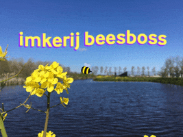 imkerijBeesboss beekeeping bij imker beesboss GIF
