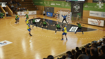 Handball Save GIF by HCB Karviná