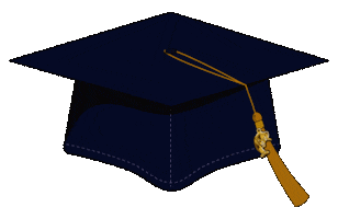 College University Sticker by FIU