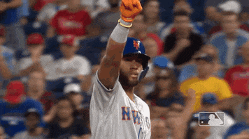 Celebrate Ny Mets GIF by New York Mets
