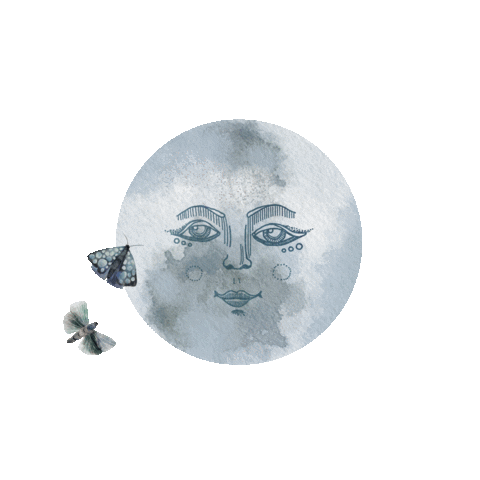 Pimpelmees behang, geboortekaartjes & meer! Sticker