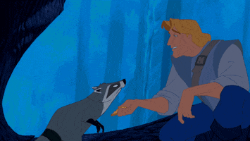 raccoon snacktime GIF by Disney