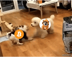 Press Release Crypto GIF by Web3 Newswire