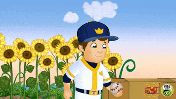 Hat Trick Baseball GIF by PBS KIDS
