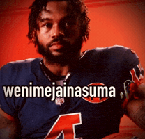 Chicago Bears GIF