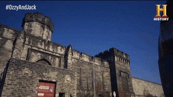 al capone prison GIF by History UK