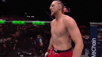 Alexander Volkov Ufc GIF