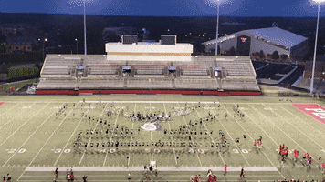 Penguins Ysu GIF by Youngstown State University