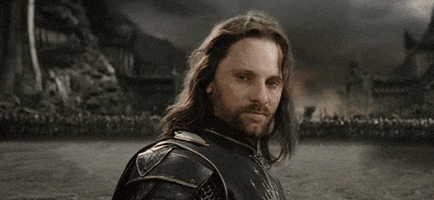 Lord Of The Rings Yolo GIF