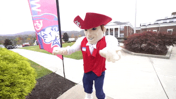 Pete Go Pats GIF by University of the Cumberlands