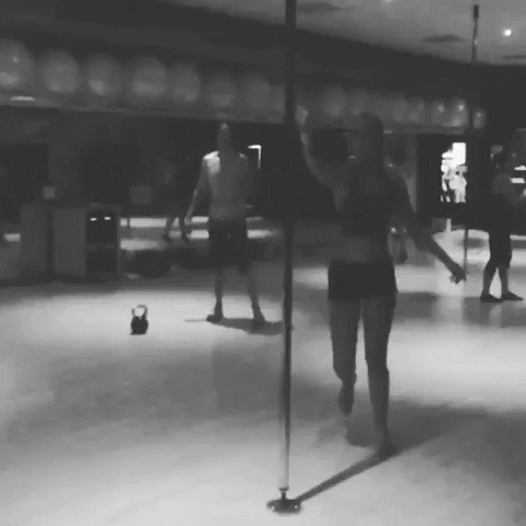 PanoramaStudios pole dance tabitha westland naaldwijk GIF