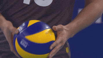 Game Ball GIF by Volleyball World