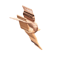 Stage Door Dance Arts Sticker