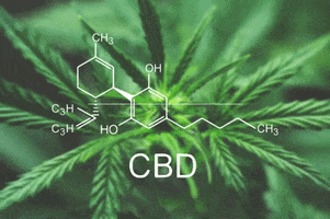 Cbd GIF