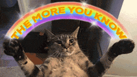 The More You Know Kitty GIF