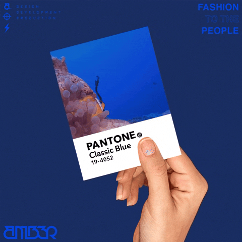 Fish Pantione Pmscolor Color Ocean Sea Designfirm Artist GIF by AMB3R Creative