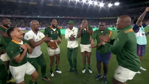 South Africa Sport GIF by Rugby World Cup - Find & Share on GIPHY