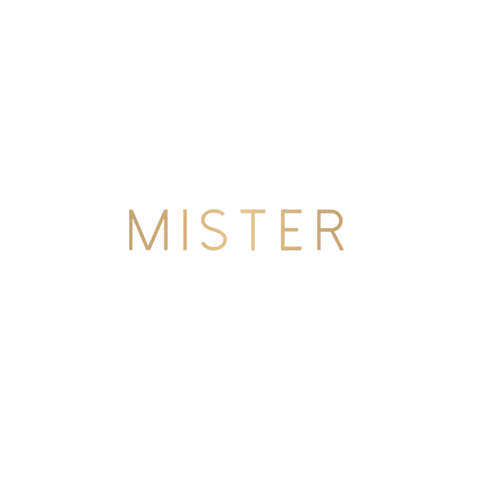 misterstyleinc cleaning sofreshsoclean cleaningcompany misterhq GIF