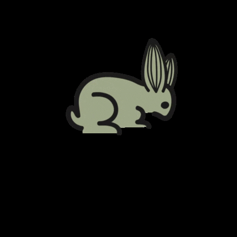 Bunny Rabbit GIF by katinaturals