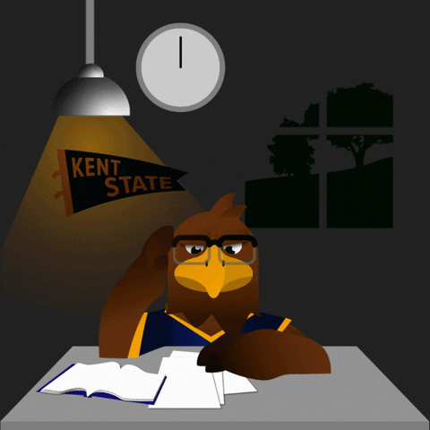 Studying Kent State GIF by Kent State University