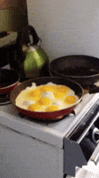 eggs GIF