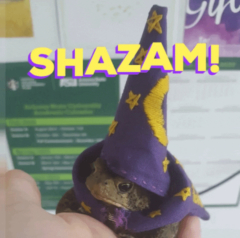 Frog Wizard GIF