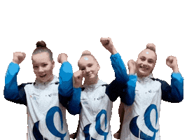 Happy Celebration Sticker by Valkeakosken Voimistelijat