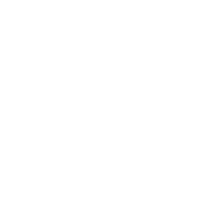 Logo Bike Sticker by FLYER E-BIKES